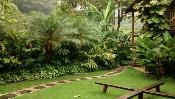 Quintal Da Mata Hotel Camburi  Luaran gambar